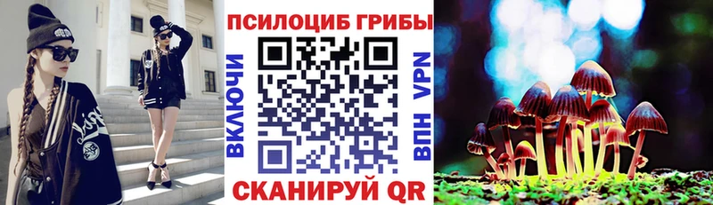 Псилоцибиновые грибы Magic Shrooms  даркнет сайт  kraken как зайти  Брянск 